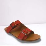 sale-designify